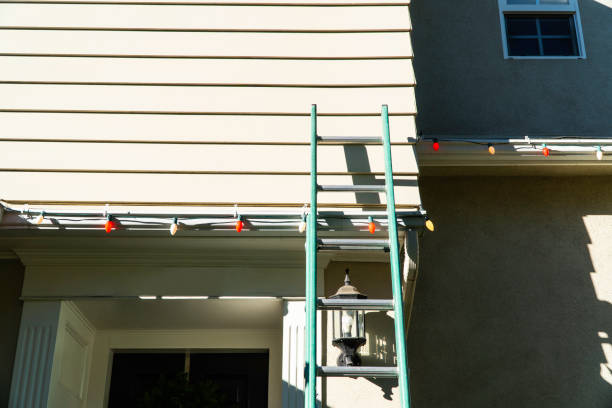 Best Residential Vinyl Siding Installation  in Bennington, NE